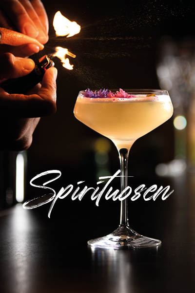 Kategorie-Teaser-Spirits