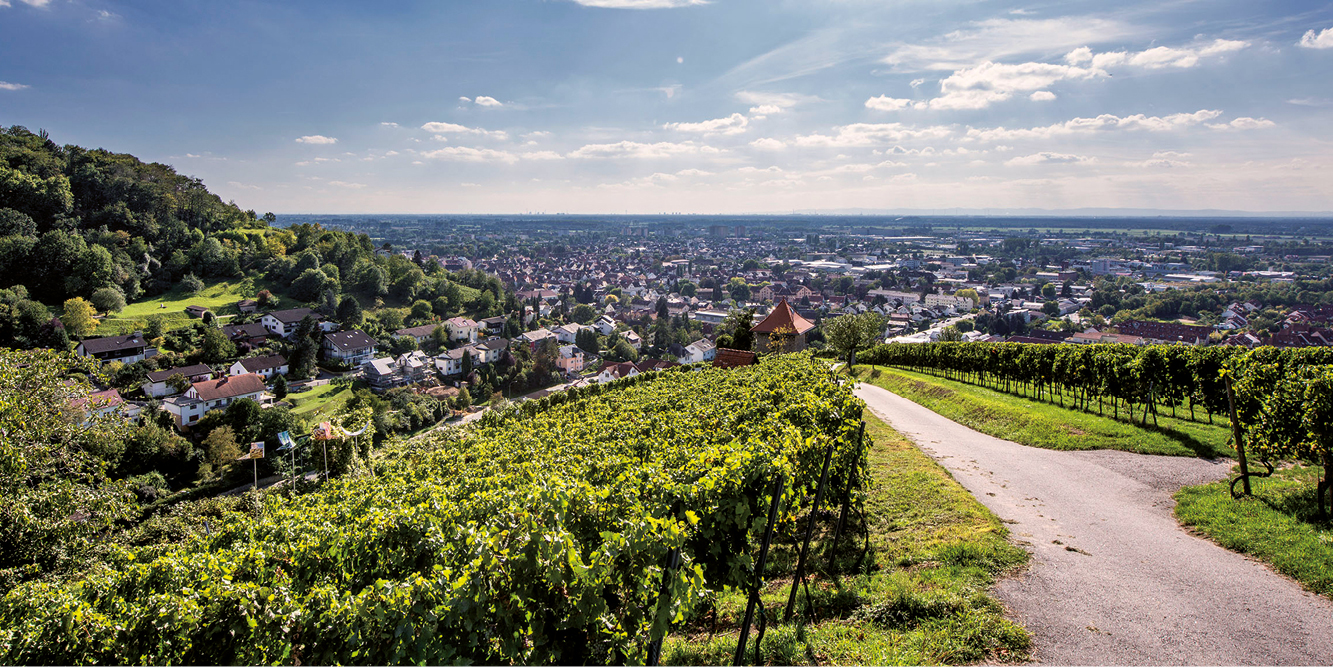 logo_Hessische Bergstraße